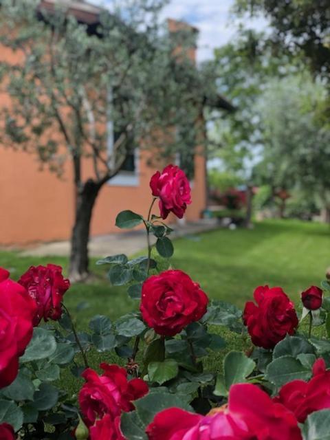 스펠로 Il Giardino Delle Rose 아파트 외부 사진